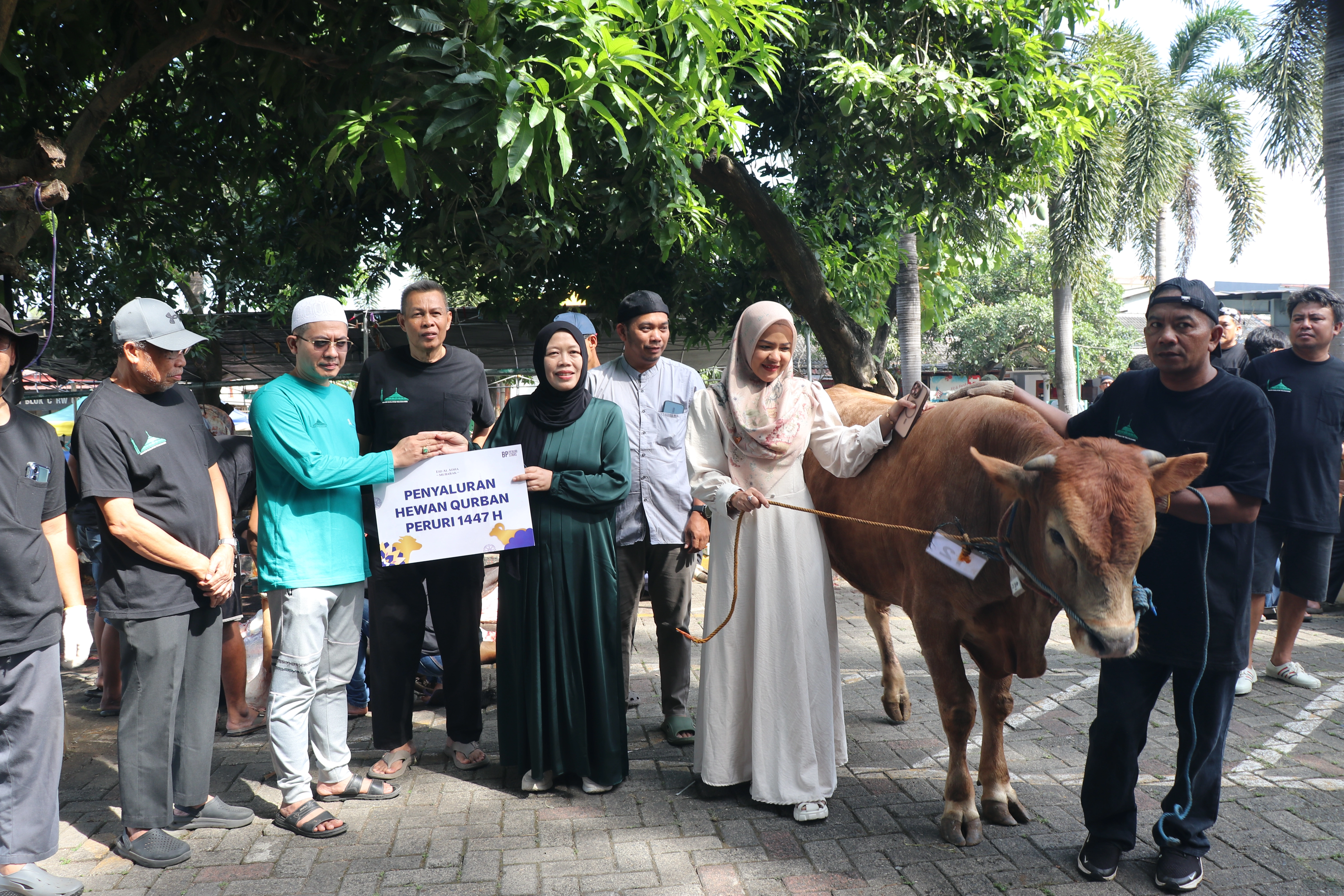 Penerimaan Hewan Qurban Idul Adha